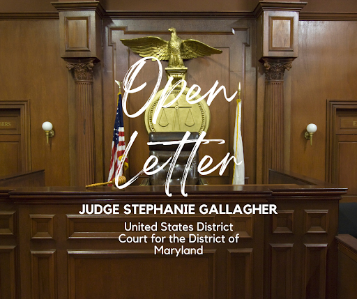 Open Letter to Judge Gallagher US District Court